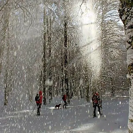 La Stella Danzante Отель типа 